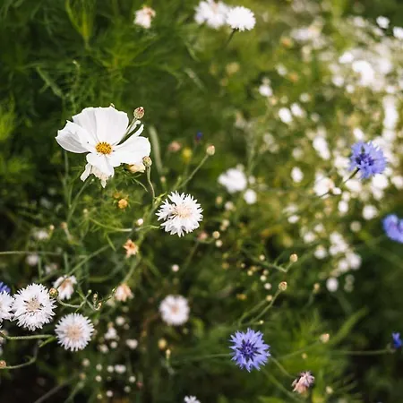 Pihlasresort Hotel 5*