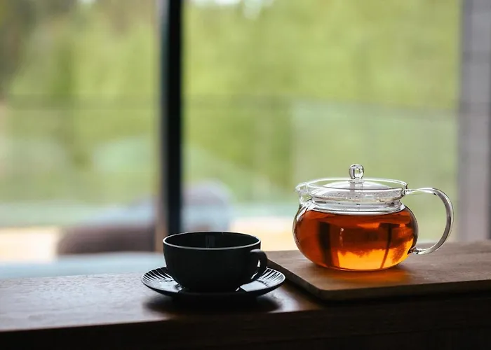 מלון Pihlasresort