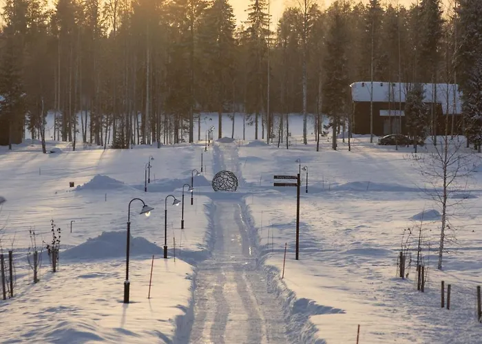 מלון Pihlasresort Joroinen